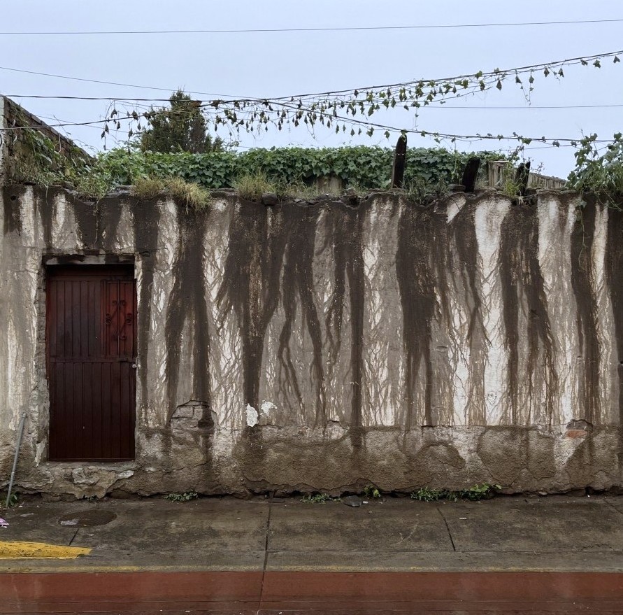 La lluvia es una artista