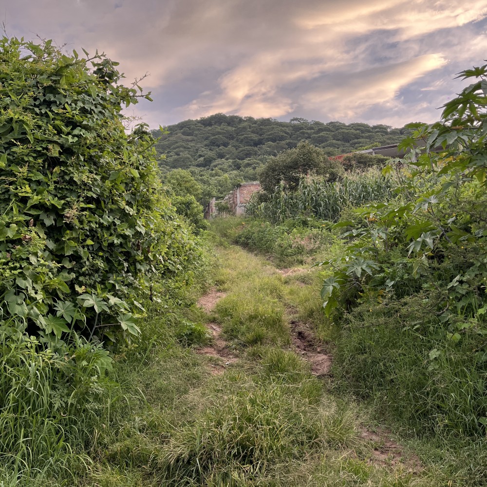 Inicio del sendero a la cima de las montañas